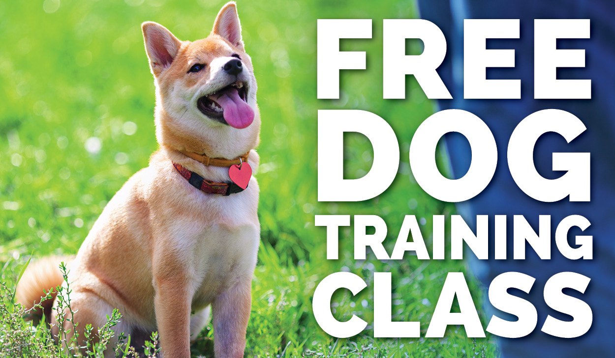 View Lake County Animal Shelter Training Appointments
